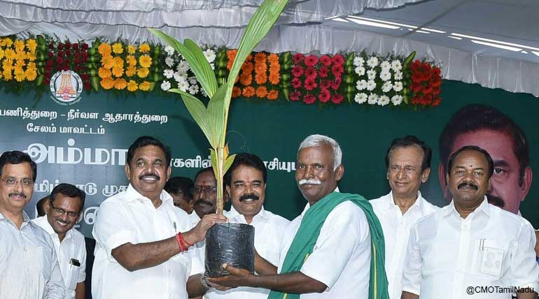 CM Edappadi K Palaniswami Receives 13,296 Petitions and Trip to Foreign