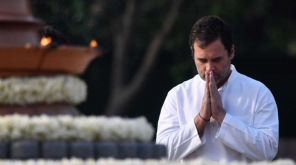  Resignation Queues up in Rahul Gandhi