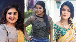 Bigg Boss Season 3 Contestants