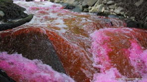 People Protested Against Dyeing Unit Discharging Effluents Without Proper Treatment