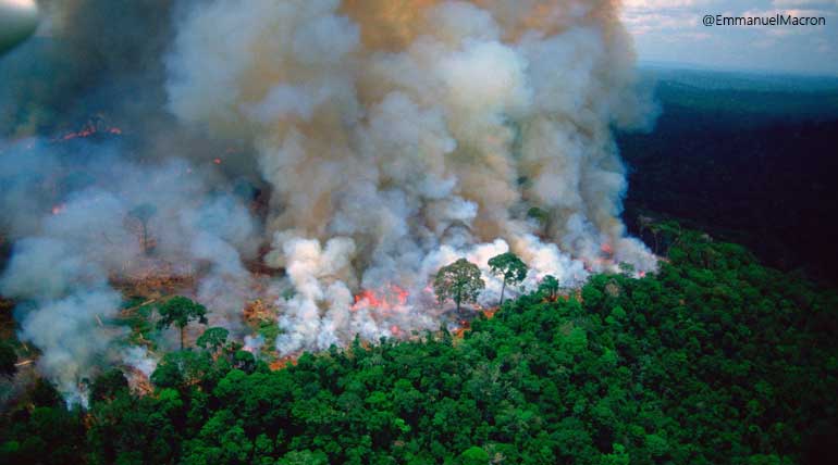 Lungs of Earth on Fire: Amazon rain forest up on smoke