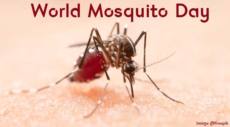 Mosquitoes Do Have A Day in Calendar - World Mosquito Day August 20