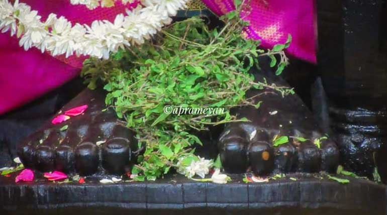 Lord Athi Varadar Darshan End in Two Days