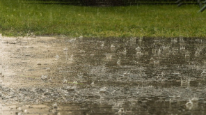 Schools might remain closed due to Heavy Rain Alerts in Tamil Nadu and Puducherry.