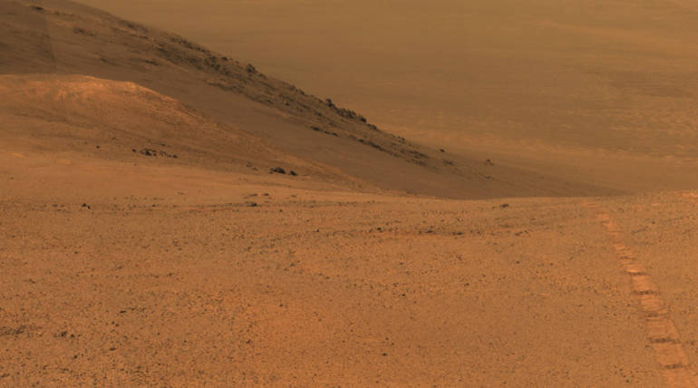 Life on Mars: Researcher Finds Insect on Mars