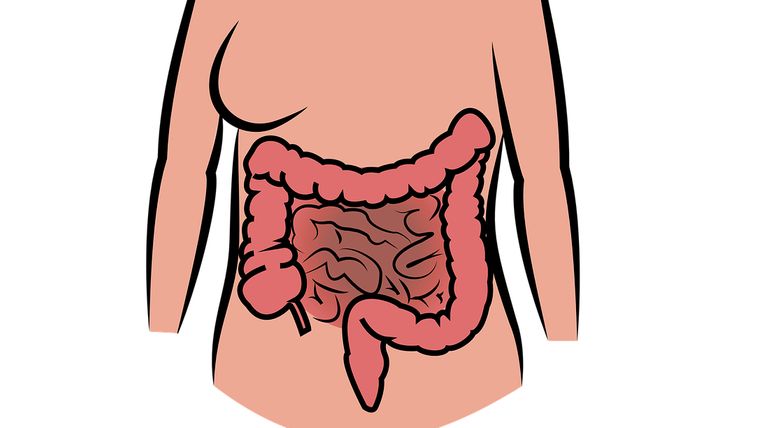 New Bacterial Species Found Causing Bowel Cancer