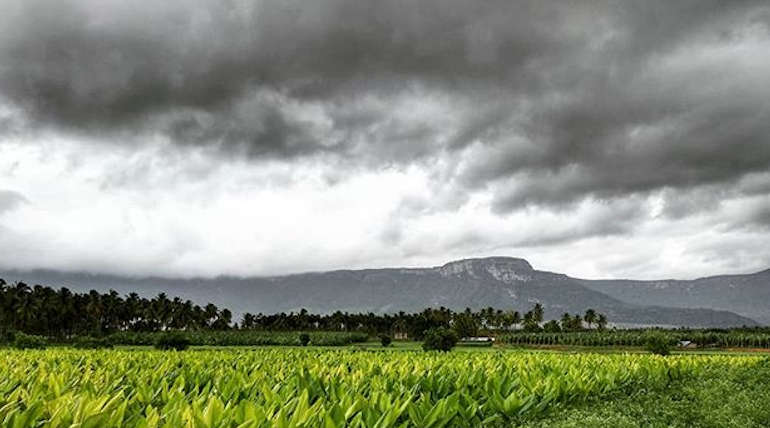 Sudden Climate Change and Dengue Outbreak in Coimbatore