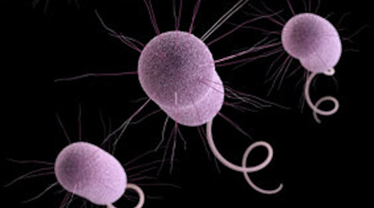 More Americans Were Killed by Superbugs than Previously thought. Courtesy: CDC 