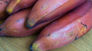 Are Red Bananas Painted Red in Tamil Nadu
