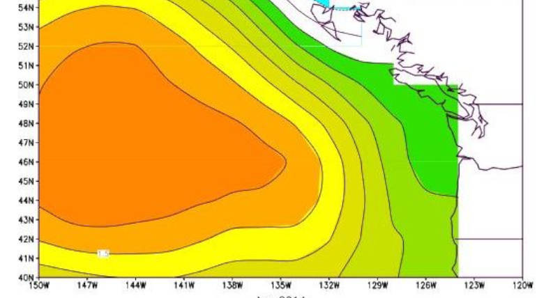 A Hot Water Blob Endangering Marine Life Near New Zealand