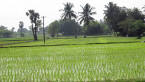 Protected Agricultural Zone