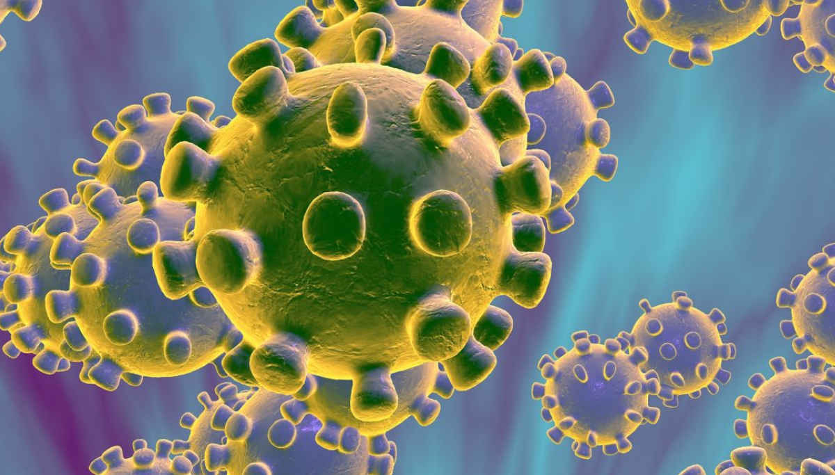 FDA approves a rapid coronavirus testing kit