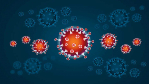 Eight Strains of Coronavirus