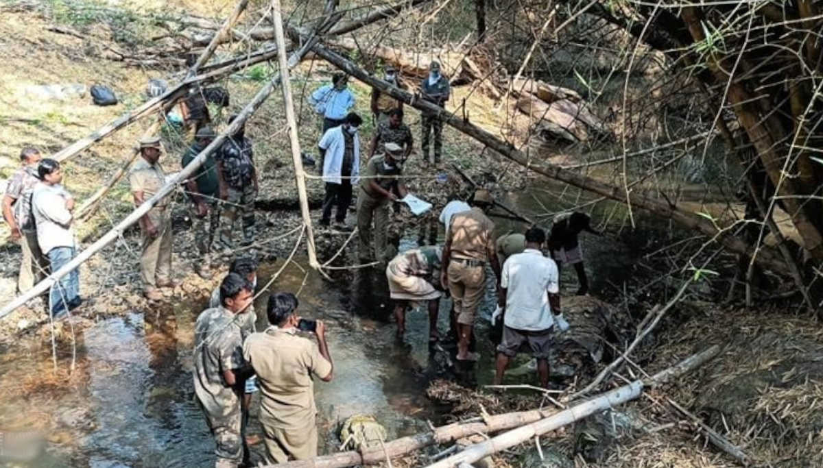 Tiger Carcass Found in Mudumalai