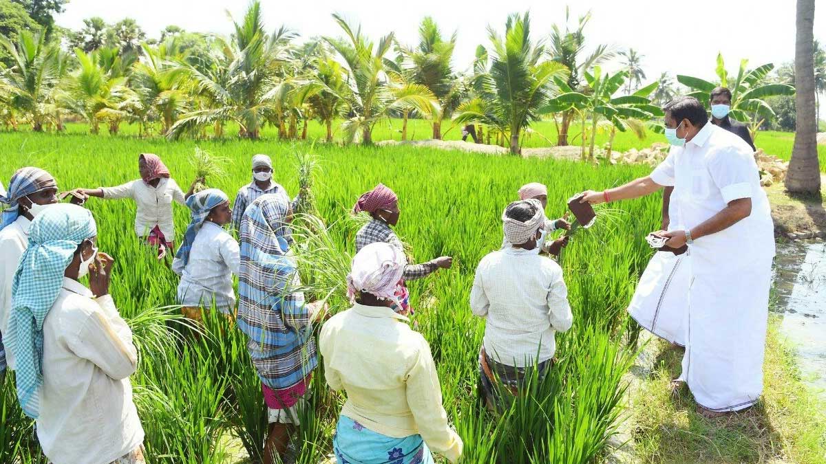 CM Edappadi Palaniswami distributes face mask to farmers.