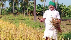 Agricultural crop loan waiver, CM Palanisamy