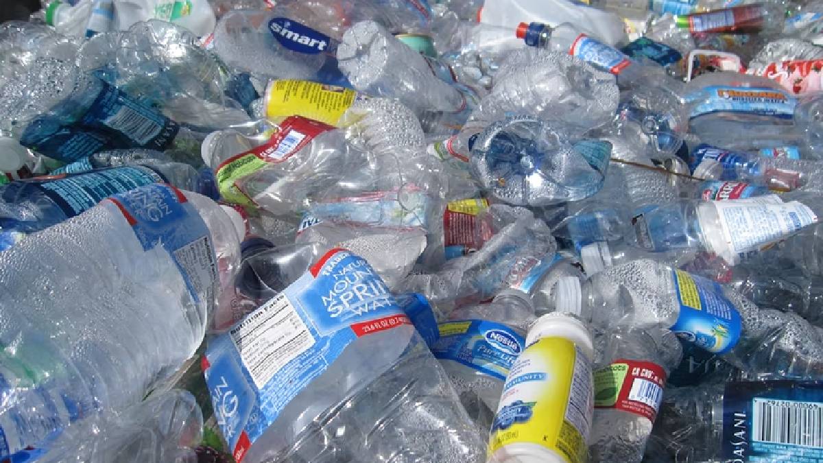Single Use Plastic Ban