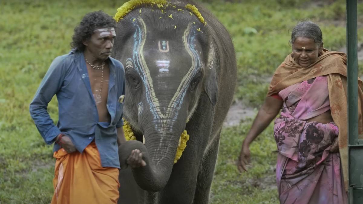 The Elephant Whisperers