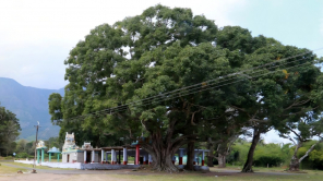 Bokkapuram Mariamman Temple